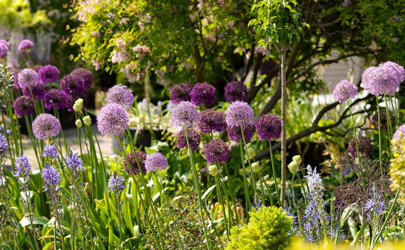 De tuin in 4 seizoenen