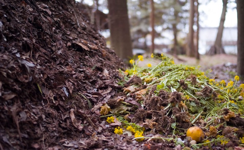 Zelf compost maken